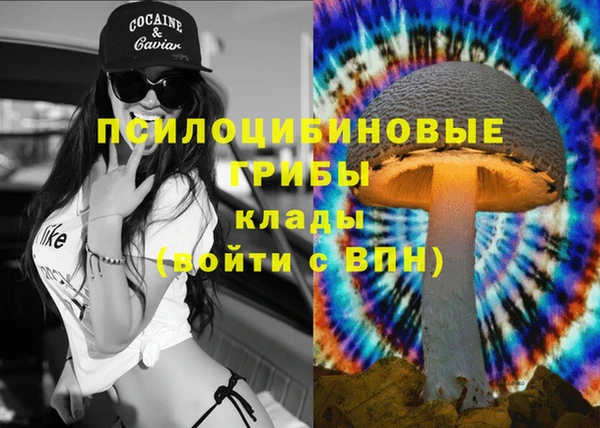 винт Надым