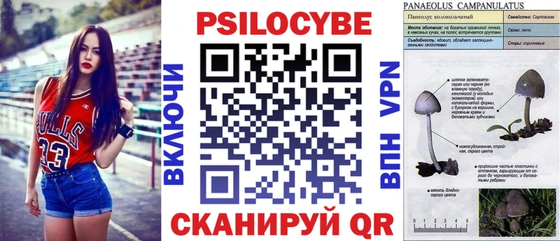 мега tor Ржев Псилоцибиновые грибы GOLDEN TEACHER купить наркотик