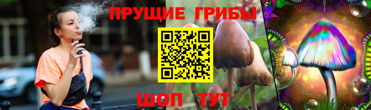 Псилоцибиновые грибы Cubensis  Вход с VPN  Ржев 